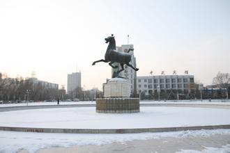 朔州市政協(xié)召開(kāi)朔州市“十三五”規(guī)劃專(zhuān)題民主協(xié)商會(huì)