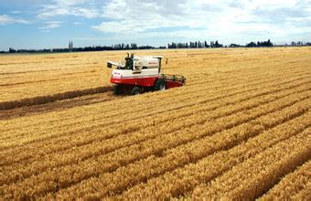 “十三五”農(nóng)業(yè)升級 新動(dòng)力如何破題