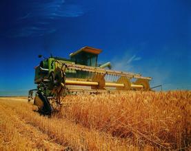 益海嘉里王巍：搭“一帶一路”建設(shè)快車(chē)加快農(nóng)業(yè)“走出去”