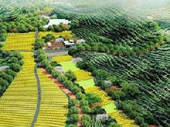 旌德經(jīng)開區(qū)多措并舉推動經(jīng)濟高質量發(fā)展