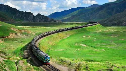 “一帶一路”，帶西充走上國際有機路