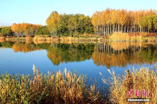 甘肅經濟觸底求變：打好特色牌，多拿單打冠亞軍