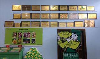 “芒果百色，香飄百地” 國內(nèi)首家芒果精深加工特色產(chǎn)業(yè)基地申報進(jìn)行時