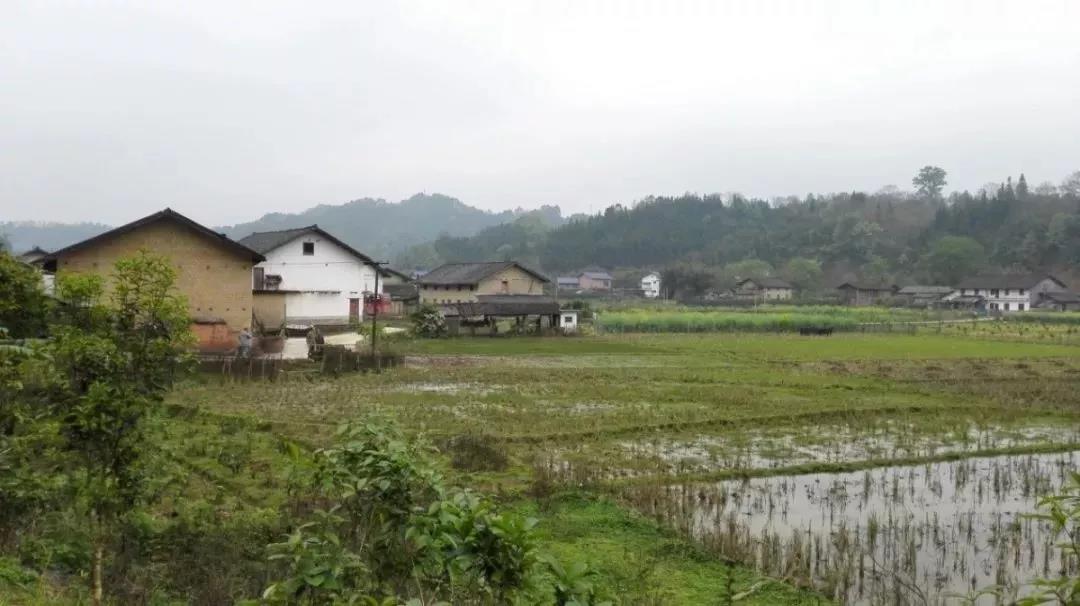 農村土地確權結束，沒登記的四荒地如何處理？