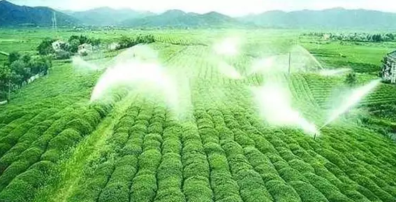 重磅！2019中央一號(hào)文件即將發(fā)布！大農(nóng)業(yè)領(lǐng)域迎來新機(jī)遇