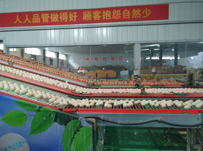 后稷故里，板棗之鄉(xiāng)——山西省稷山縣大力爭創(chuàng)國家現(xiàn)代農(nóng)業(yè)產(chǎn)業(yè)園