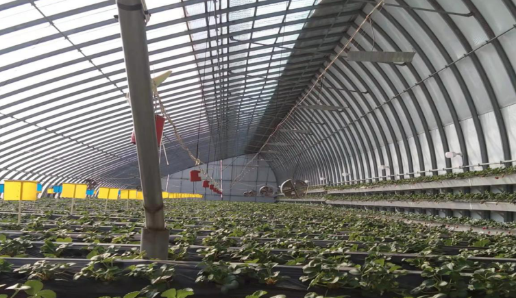 走特色高效農(nóng)業(yè)之路，晉中榆次區(qū)積極申報國家現(xiàn)代農(nóng)業(yè)產(chǎn)業(yè)園