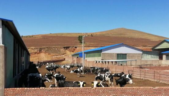 科右前旗農(nóng)業(yè)現(xiàn)代化示范區(qū)創(chuàng)建按下“加速鍵”，吹響“集結(jié)號”