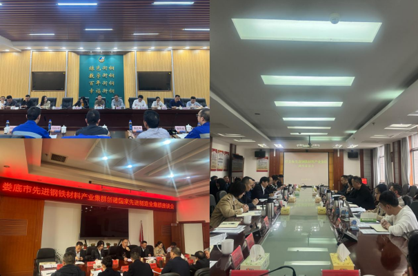 高新院走入湖南鋼鐵——以先進制造業(yè)集群撬動“新質(zhì)生產(chǎn)力”支點