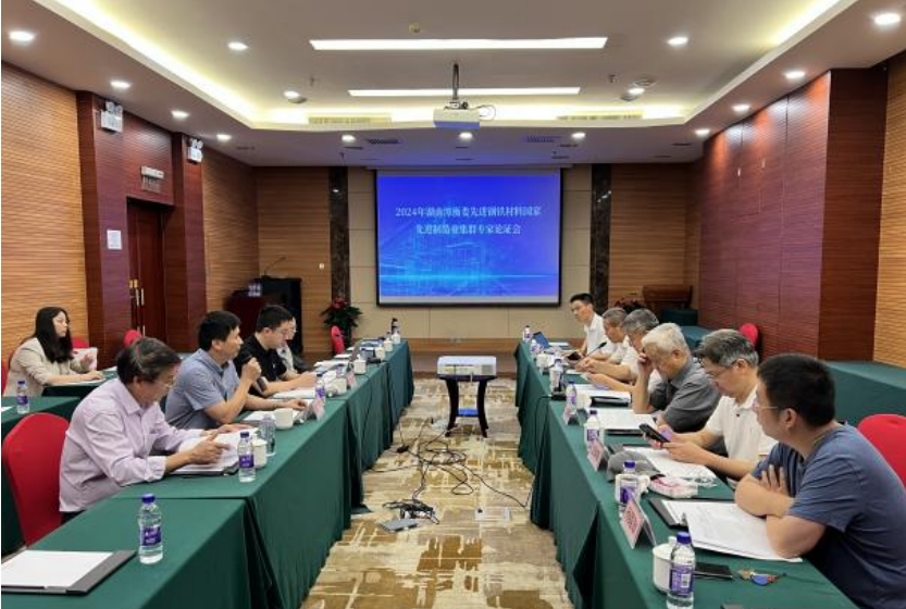 《培育發(fā)展湘潭市、婁底市、衡陽(yáng)市先進(jìn)鋼鐵材料集群實(shí)施方案》獲專家高度評(píng)